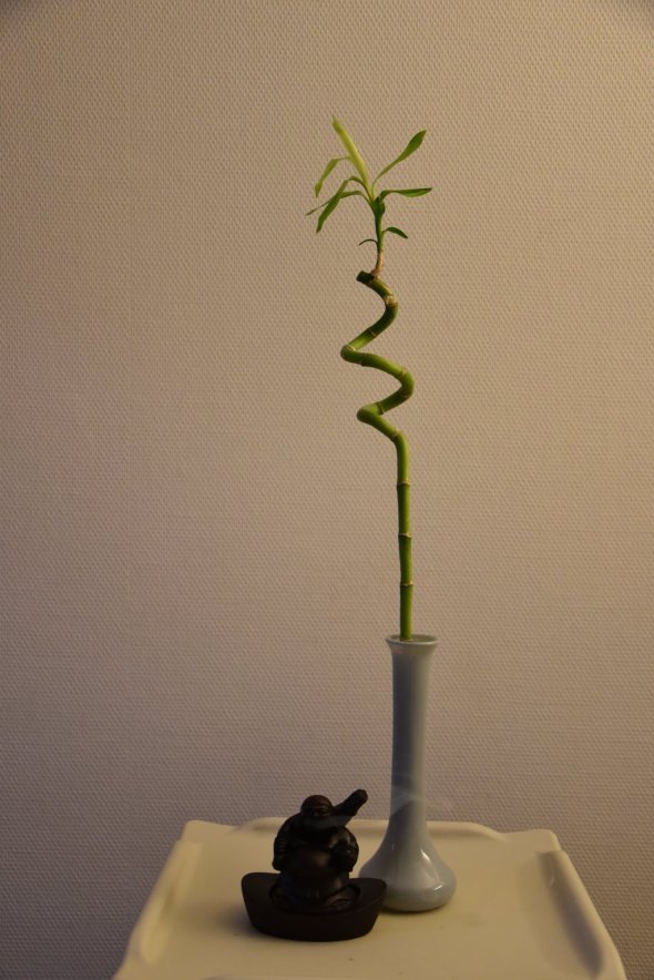 dsc_3750-fileminimizer