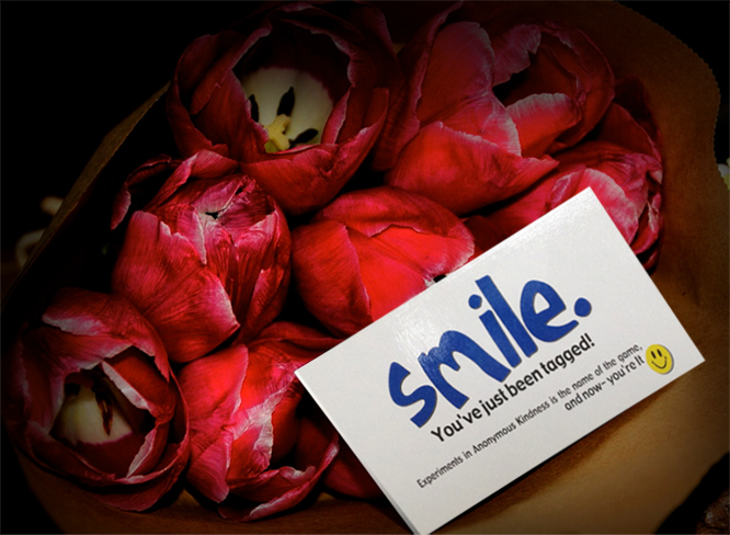 smile cards