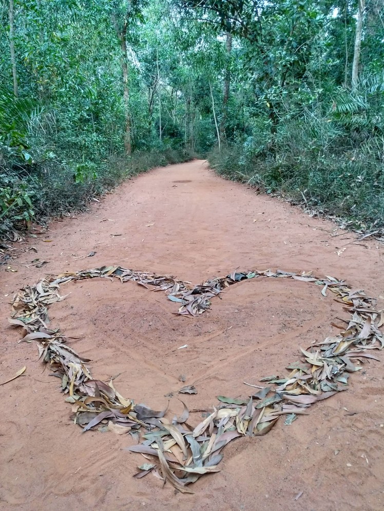 IMG_20180208_180216_481