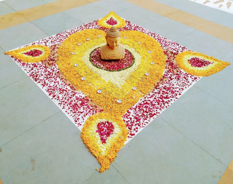 40511138633_a0aac69d69_k-1